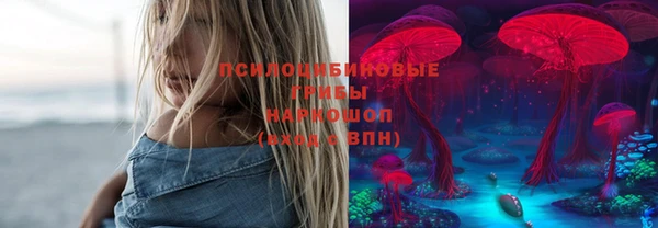 ГАЛЛЮЦИНОГЕННЫЕ ГРИБЫ Волосово