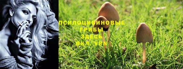 ГАЛЛЮЦИНОГЕННЫЕ ГРИБЫ Волосово