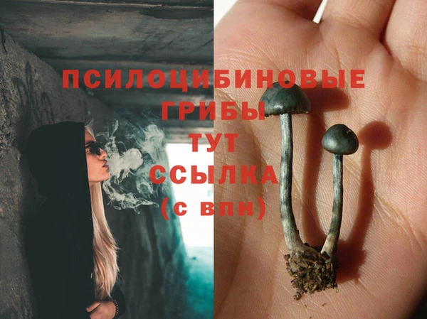 ГАЛЛЮЦИНОГЕННЫЕ ГРИБЫ Волосово