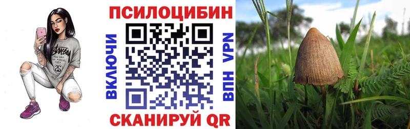 Галлюциногенные грибы Cubensis Купить закладки Среднеуральск